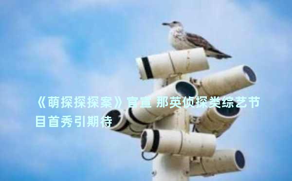 《萌探探探案》官宣 那英侦探类综艺节目首秀引期待